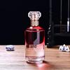 Premium Glass Wine Bottle with Sealed Gift Box - 1 Jin Capacity for Home Brewing and Baijiu.