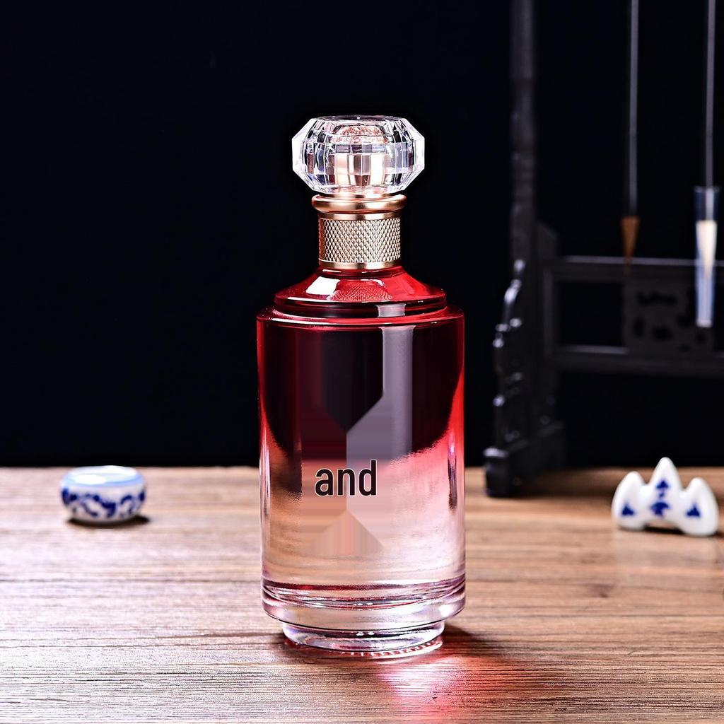 Premium Glass Wine Bottle with Sealed Gift Box - 1 Jin Capacity for Home Brewing and Baijiu.