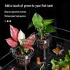 Pothos Hydroponic Plant Cup - Aquatic Grass Hanging Basket for Fish Tank Decoration