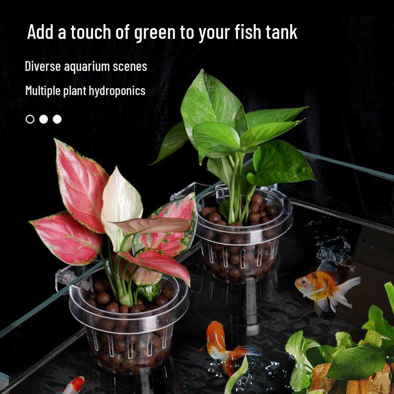Pothos Hydroponic Plant Cup - Aquatic Grass Hanging Basket for Fish Tank Decoration