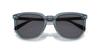 Sunglasses HC8384U CL911 TRANSPARENT BLUE 55 [Coach]