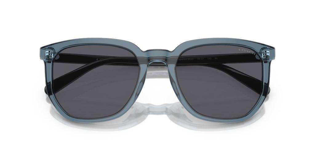 Sunglasses HC8384U CL911 TRANSPARENT BLUE 55 [Coach]