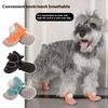 Bekleidung & Schuhe – Hundeschuhe