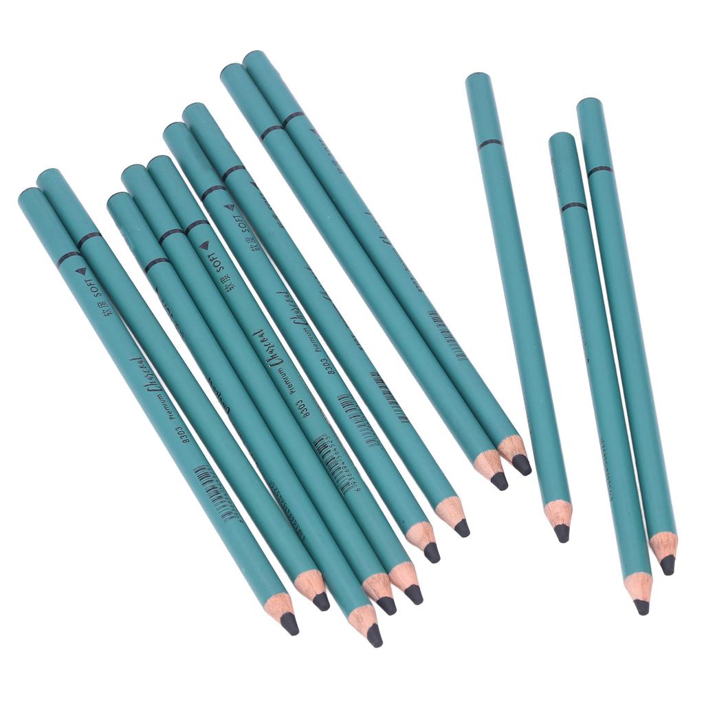 12Pcs Charcoal Pencils Flexible Write Smoothly Easy To Use Charcole Art Supply for Detailed Drawing