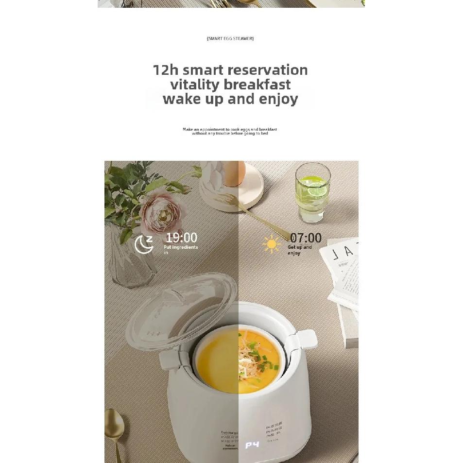 Mini Multifunctional Home Use Automatic Shutdown Egg Boiler 110V Pre-Timed Breakfast Egg Cooker Small Personalized Motorcycle Eq