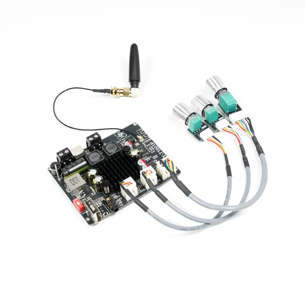 DC 12-24V T1001P Mono 100W BT Audio Amplifier With High And Low Frequency Adjustment Tws True Wireless TPA3116 Support For App