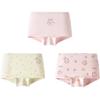 Balabala Girls' Cotton Boxer Briefs (3-Pack)
