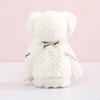 Coral Fleece Bear Pineapple Towel Souvenir