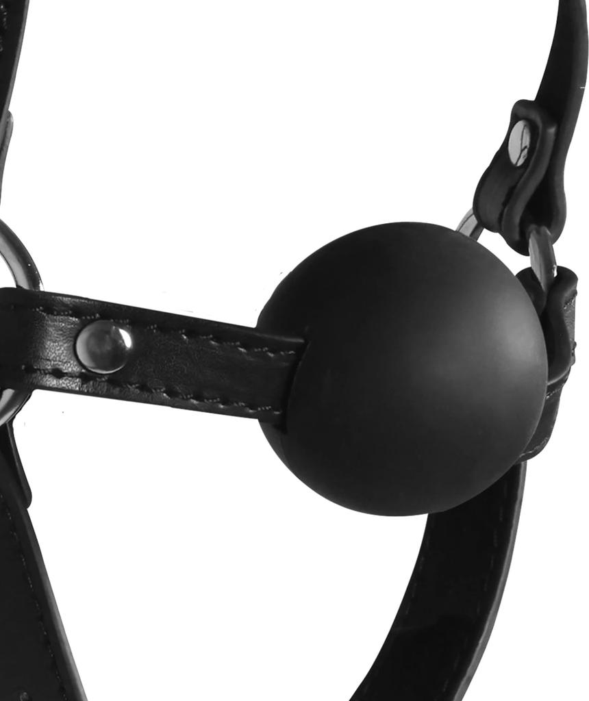 Head Harness with Solid Ball Gag Ouch! by shots