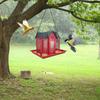 Yard Squirrel Feeder