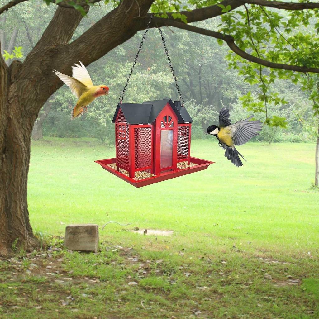 Yard Squirrel Feeder