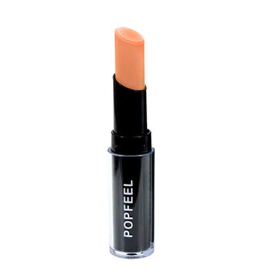 Multi-Function Hide Blemish Long-Lasting Concealer Pen Makeup Comestic Kit