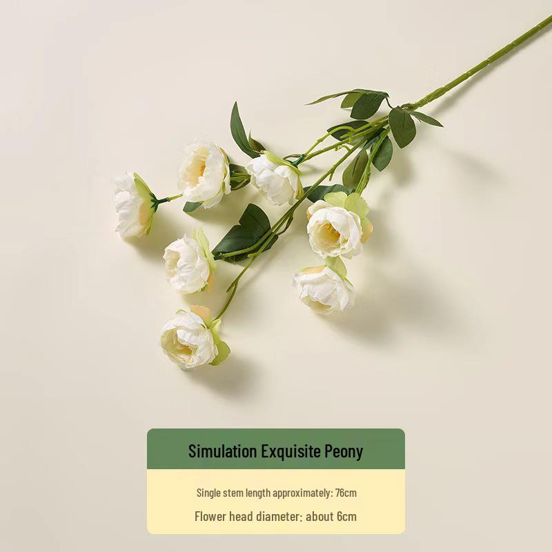 Picnic-Themed Photo Props: Outdoor Scene Decoration with Tablecloth and Tray for Food Photography.