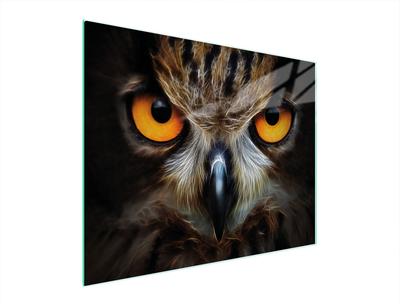 SZKLANA DESKA DO KROJENIA 52x40 SOWA