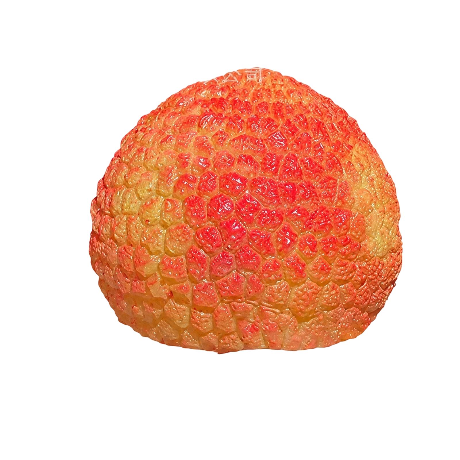 

Squishy Sensory Toy Lychee Shape Soft Squeeze Stress Relief Toy for Kids and Adults Durable Material Slow Rising One Size