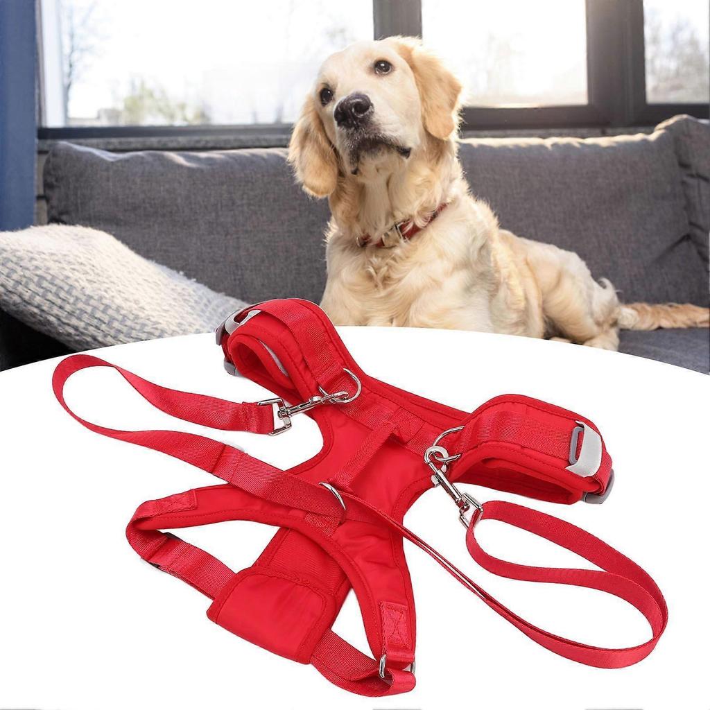 Dog Lift Harness Adjustable Safe Recovery Aid Puppy Front Leg Support Sling for Old Disabled Injured Pet M