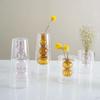 Creative Double-layer Flower Vase Nordic Style Aromatherapy Diffuser Bottle  Room
