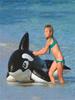 Cross Black Whale Inflatable Water Toy - PVC Floating Raft Bed for Children's Swimming and Sea Play