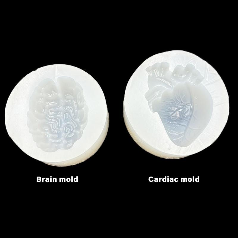 Realistic Brain/Organ Silicone Mold For Medicals Education Art Craft Professional Handmade Jewelry Making Mould