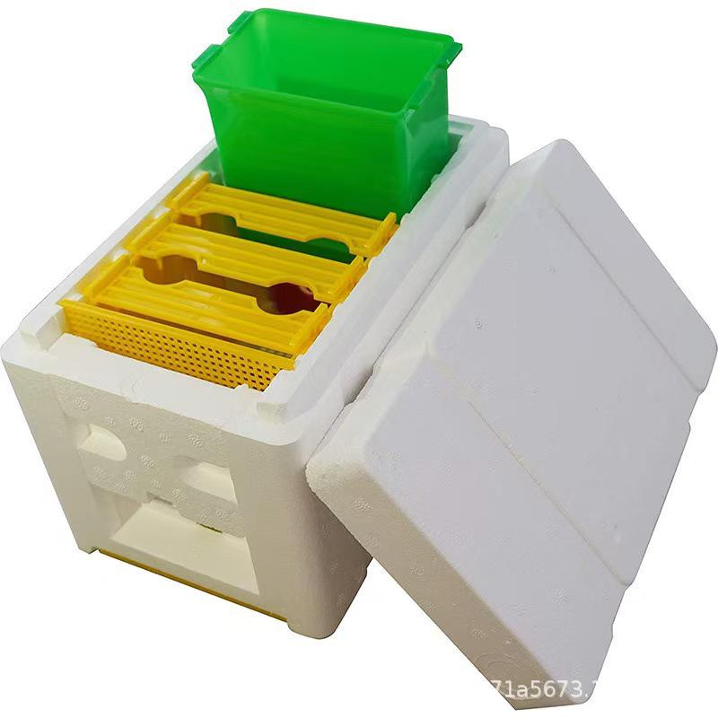 Bee Queen Rearing & Pollination Foam Box for Beekeeping
