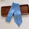 Women Long Narrow Scarf 190x4.5cm Polka Dot Satin Ribbon Headband Choker Multi Functional Accessory for Bags