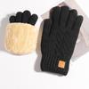 Men's Winter Touchscreen Gloves, Double-Layer Fleece, Thick Warm Wool for Cycling, Riding, and Skiing