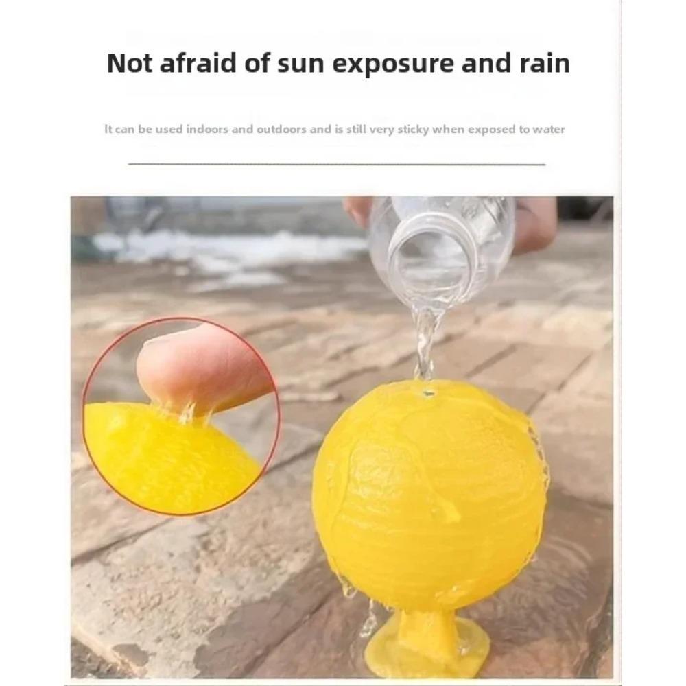 Indoor Flying Insect Catcher,Sticky Trap Balls for Fruit Flies,Gnats,Mosquitoes,Safe Non-Toxic,Place Near Plants,Trash Can,Window,Home,Office Use