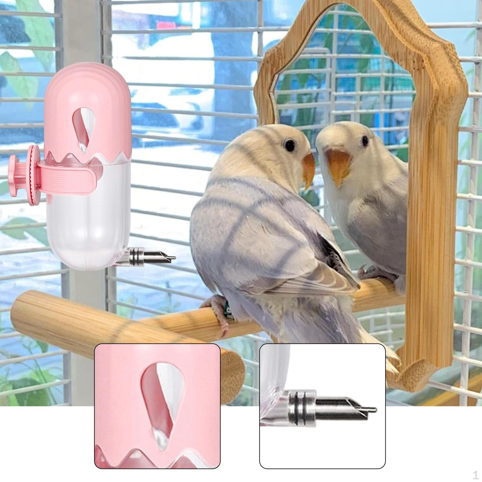 

Automatic Bath for Parrots And Parakeets. рожевий