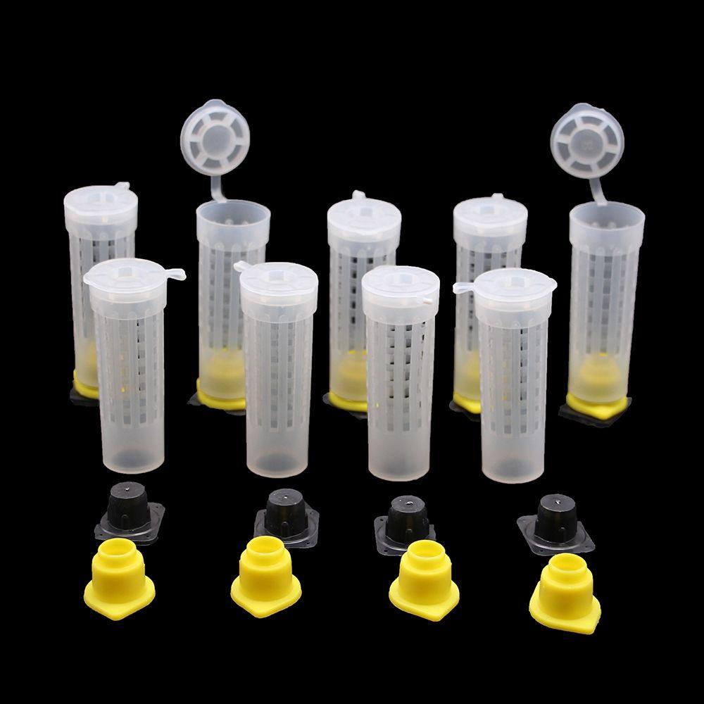 

Пластиковый ящик для инструментов King Bee Equipment, 50 шт., защитная крышка для клетки пчелиной матки, чаша для выращивания пчел