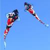 Large Chinese Style 3-Meter Koi Carp Kite with Long Tail - Easy to Fly in Light Breeze