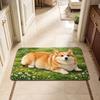 40*60cm Bathroom Carpet Corgi / Teddy Dog Floor Mat New Bedroom Door Small Rug  Table Bedside