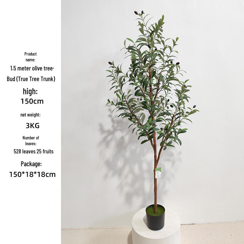 Olive Tree Potted Plant - Indoor Decor Simulation for Living Room