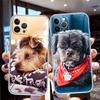 BF49 DOG Poodle Soft Shell Transparent Phone Case for Motorola Moto G7 G8 G9 G84 G85 G73 G24 G15 Z2 Play Power Plus