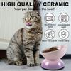 Ceramic Elevated Cat Bowls Tilted Cat Food Bowl Dish Pet Feeder Bowl Dishwasher Microwave Safe