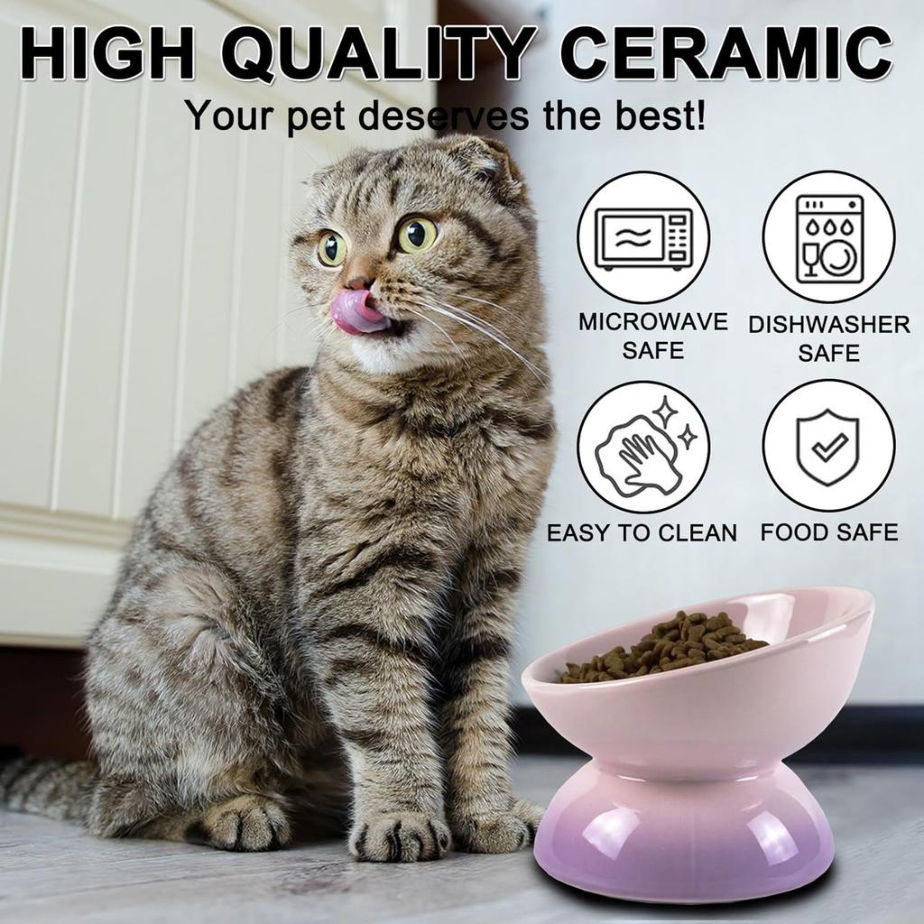 Ceramic Elevated Cat Bowls Tilted Cat Food Bowl Dish Pet Feeder Bowl Dishwasher Microwave Safe