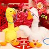 Wedding Prank Props: Goose Rocking Duck, Ring Toss, Door Blocker, Creative Photo Set