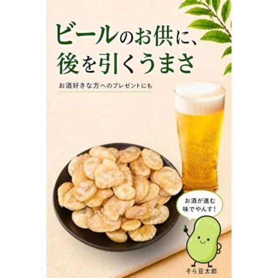 Broad Beans Fried Lightly Salted 350g Large Size Snack Resealable Bag Shinshu Good Things Lab