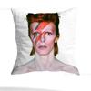 Federa Cuscino Quadrata Stampa Double-Sided Corto Peluche Copricuscino Divano Camera da Letto Comodino Singer D-David B-Bowie