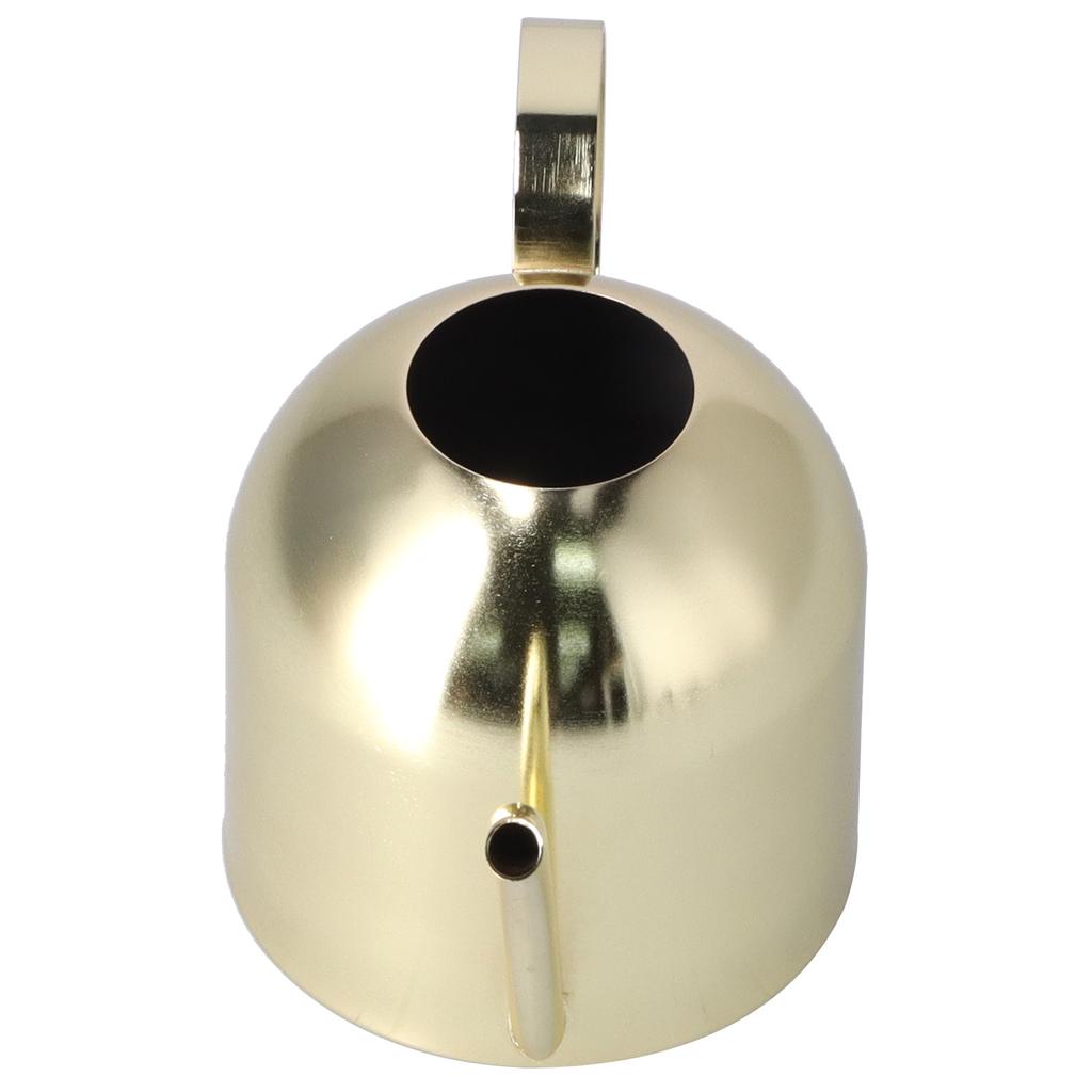 1000ML Vattenkanna Inomhus Vintage Rostfritt Stål Suckulenter Blommor Växter Vattningskittel Kruka Guld