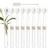 8pcs Hanging Acrylic Plant Propagation Tubes Suction Cup Hydroponic Cultivation Tube Window Propagation Stations For Office