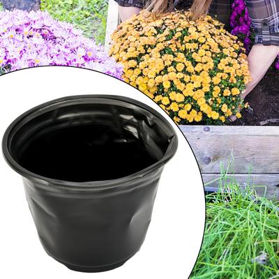 Flowerpot Plant Pots Black Bonsai Daisy Mint Orchid