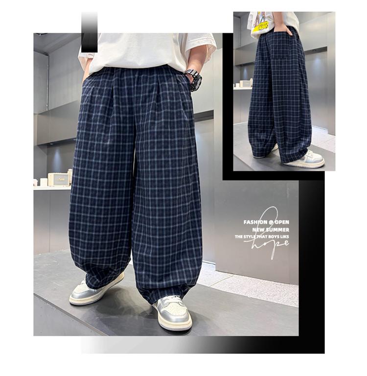 Boys' Summer Checkered Casual Pants 2026 New Style Rascal Handsome Children's Summer Work Pants Middle and Large Children's Casual Pants