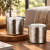 Mini 100ml Titanium Insulated Coffee Mug in Silver Gray, Portable Tea Cup for Travel and Office Use