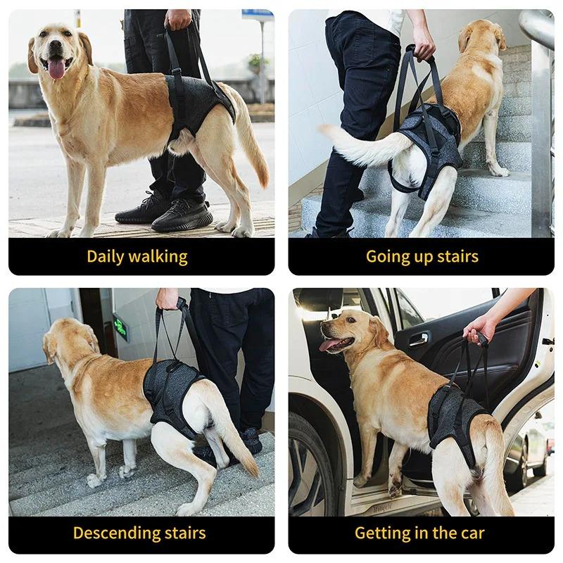 Adjustable Dog Lift Harness for Large Dogs Soft Padded Pet Rear Leg Support for Old Disabled Joint Injuries Dog Back Leg Hold
