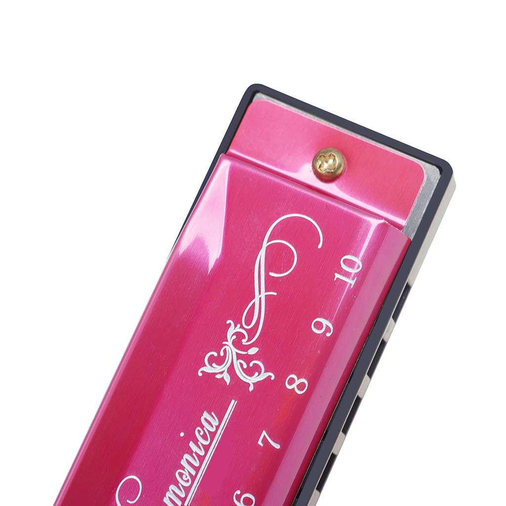 IRIN 10 Hole Harmonica Key of C 20 Tone Musical Gift with Storage Case for Beginner Student