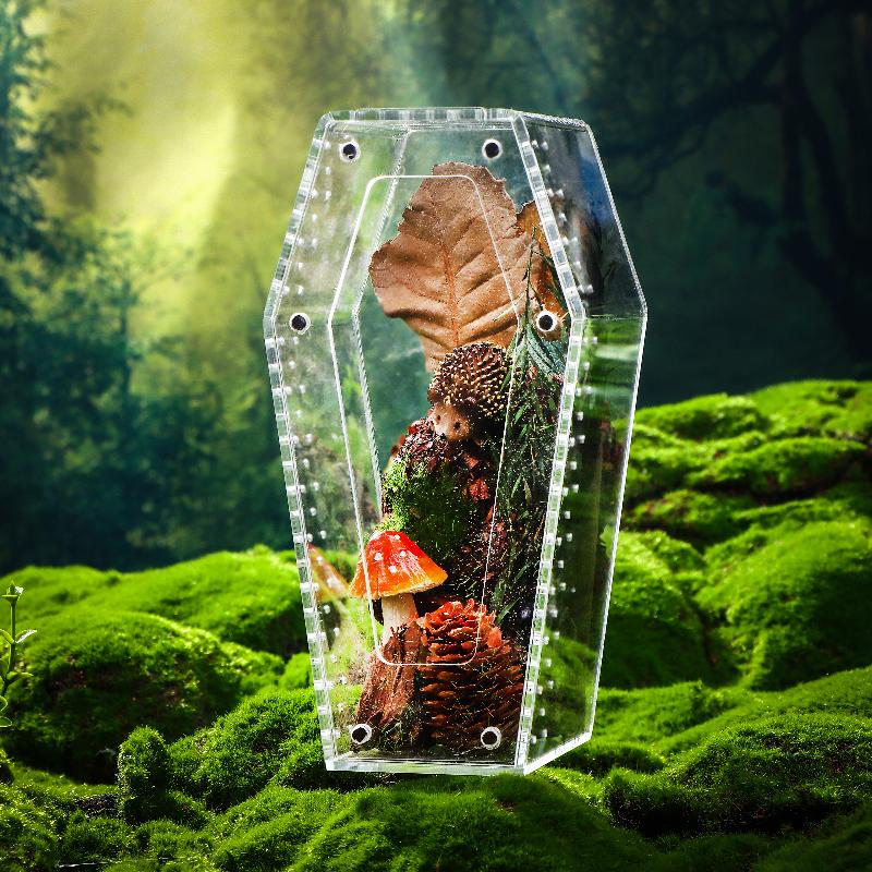 Acrylic Transparent Reptile Enclosure Insect Spider Lizard Feeding Cage Reptile Breeding Box Ventilation Arboreal Enclosure Case