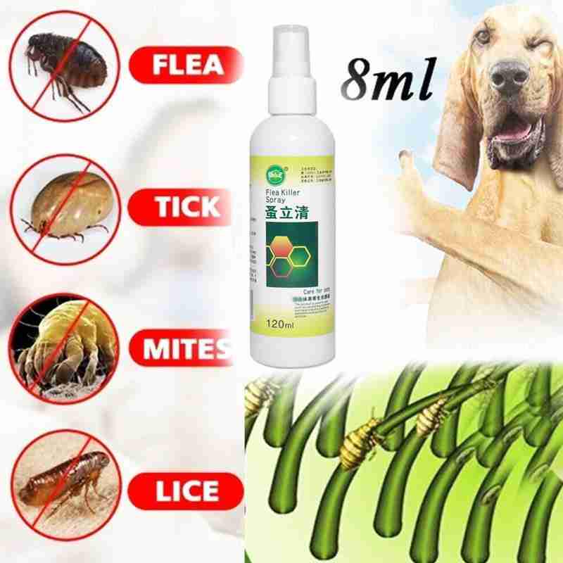 dog lice killer