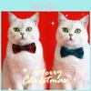 2023 Neue Weihnachtsfliege Haustierhalsband Rot und Grün Kariert Verstellbar Erstickungsgefahr-frei Katzen- und Hundeaccessoires