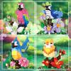 LULUFUN Insect Collection Toy, Mini Bird Blocks, Set of 6, Toy, Birthday Gift, Bird Blocks, with Case, Mother's Day, Father's Day, Men, Women,
