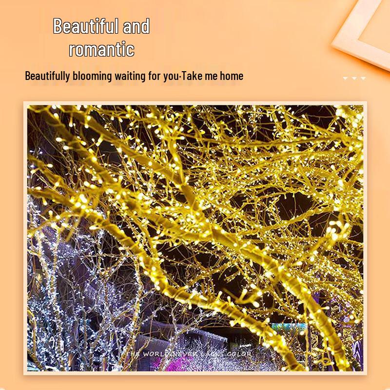 Chang Baosen 100m 800-LED Starry String Lights